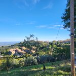 Photo taken by ELIZABETH S