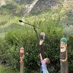 Photo taken by Elizabeth C