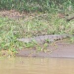 Photo taken by Darla D