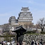 Photo taken by Reynaldo M