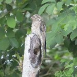 Photo taken by Joyce C