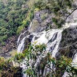 Photo taken by Judy H