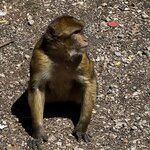 Photo taken by Julie A