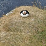 Photo taken by Ken J