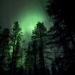 Photo taken by Sara N