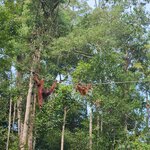 Photo taken by Sabiha K