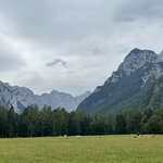 Photo taken by Ronda O