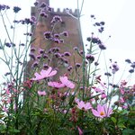 Photo taken by Eric T