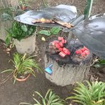 Photo taken by Graeme W