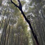 Photo taken by Ray R