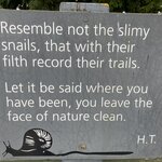 Photo taken by Frank L