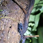 Photo taken by Jeffrey B