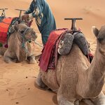 Photo taken by Cynthia F