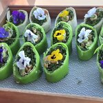 Photo taken by Vivian W