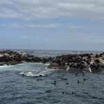 Photo taken by Christopher F