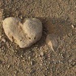 Photo taken by Andrew Z