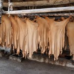 Photo taken by Jonathan F