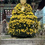 Photo taken by Adrian D