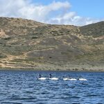 Photo taken by Kim M