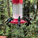 Photo taken by Chris G