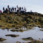 Photo taken by Andrew Z