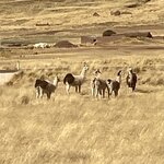 Photo taken by Terje R