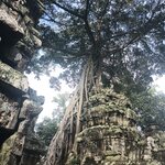 Photo taken by Karen S