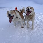 Photo taken by Sandra D