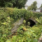 Photo taken by Kathy O