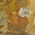 Photo taken by Raj M