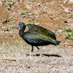 Photo taken by Brett F