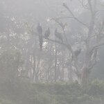 Photo taken by Cayden S