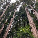 Photo taken by kirsten b