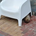 Photo taken by Natascia V