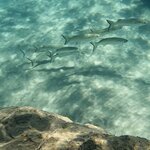 Photo taken by Jason C