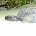 Photo taken by Patricia D