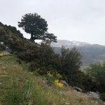 Photo taken by Shawn G