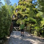 Photo taken by Mike C