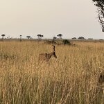 Photo taken by Michael L