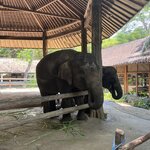 Photo taken by Brittany Leslie Lynn S