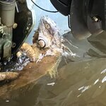 Photo taken by Cassio S