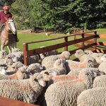 Photo taken by Bao T