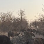 Photo taken by Janie W