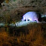 Photo taken by rhonda c