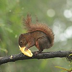 Photo taken by Marcia G