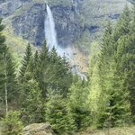 Photo taken by Owen B