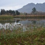 Photo taken by William R