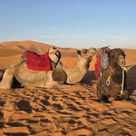 Photo taken by Shelley H