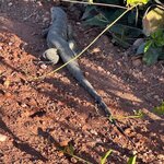 Photo taken by Kelvin V