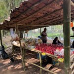 Photo taken by Shannon S